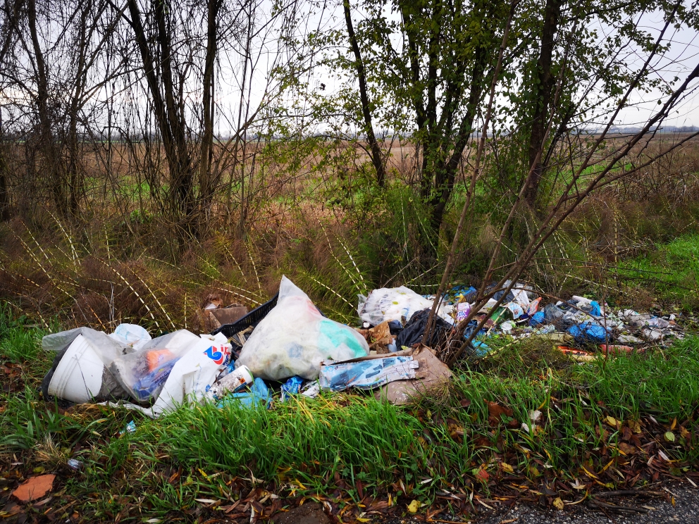 Ferrara Rifiuti abbandonati